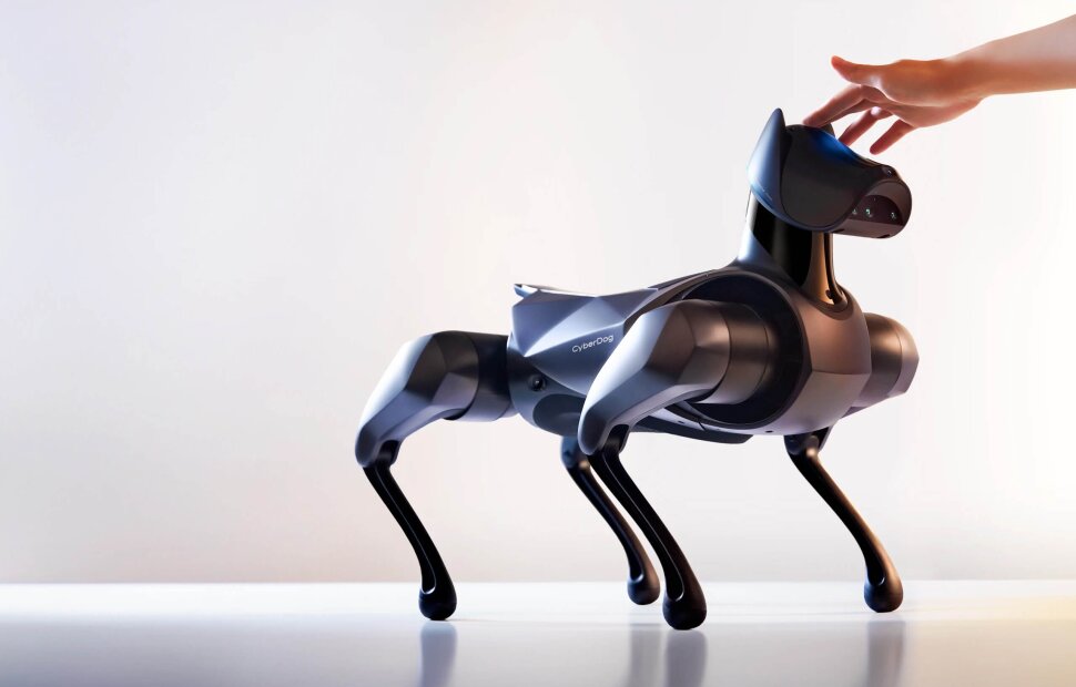 кибердог1.jpg (44 KB)