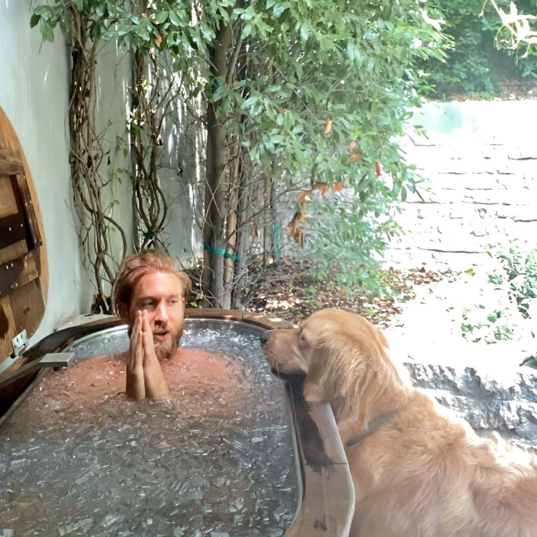 didzei-calvin-harris.jpg (206 KB)